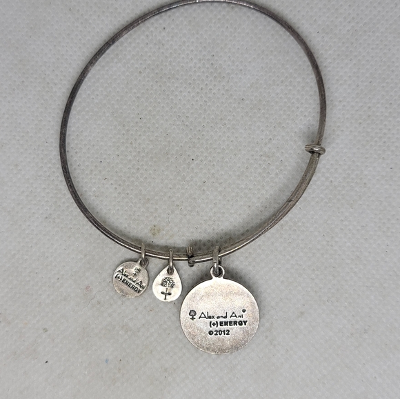 Alex and Ani Star of Venus Charm Bangle in Silver-Tone Brass - Picture 4 of 6